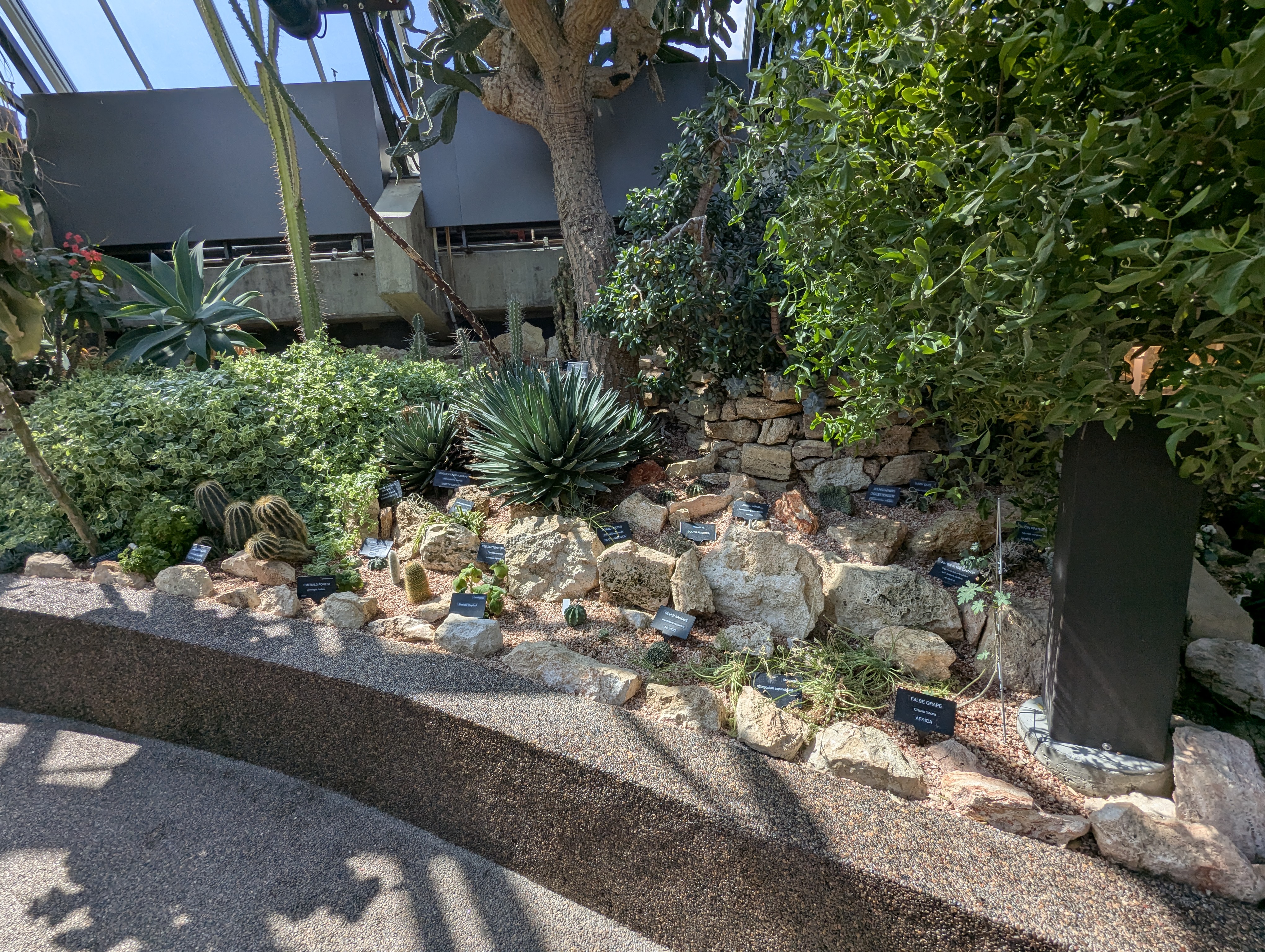 Birthday Trip to Canada, Edmonton, Pyramids, Muttart Observatory